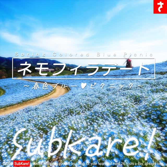 ネモフィラ２０２６