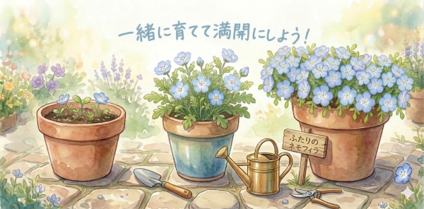 ネモフィラプランター